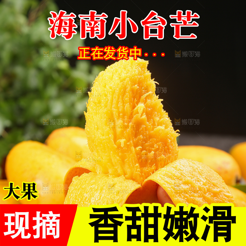 小台芒