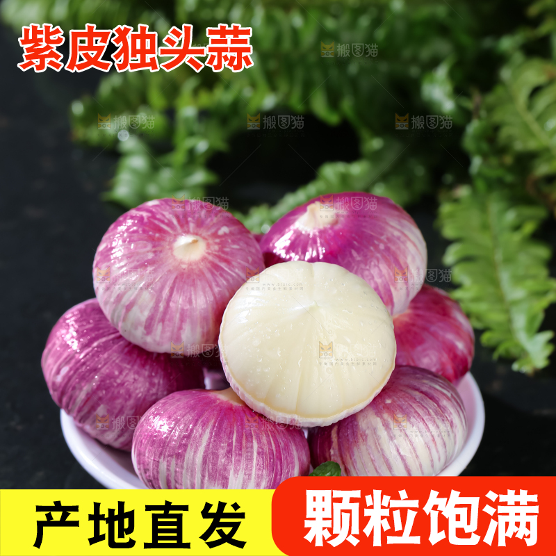 独头蒜