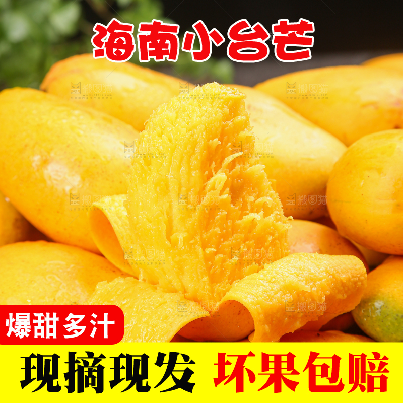 小台芒