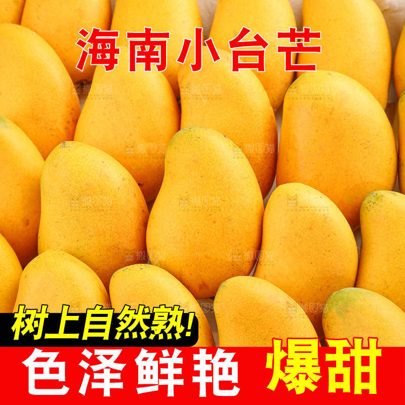 小台芒