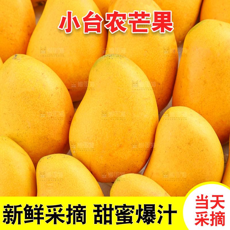 小台芒
