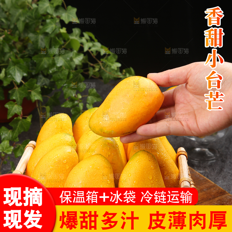 小台芒