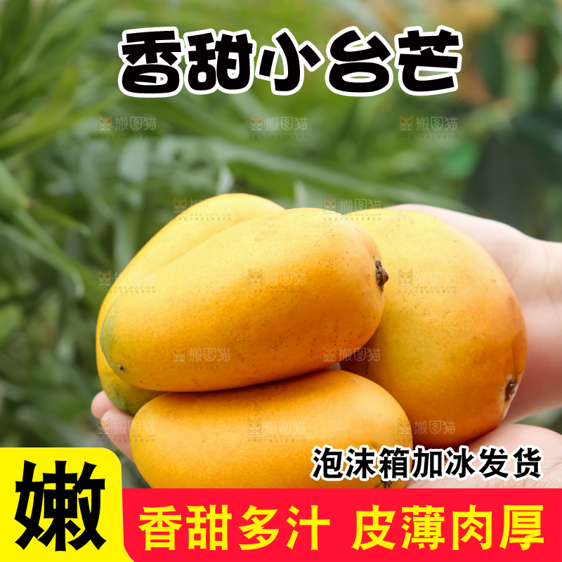 小台芒