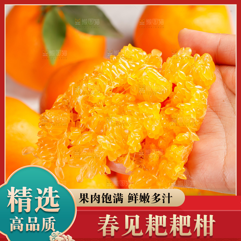 春见耙耙柑