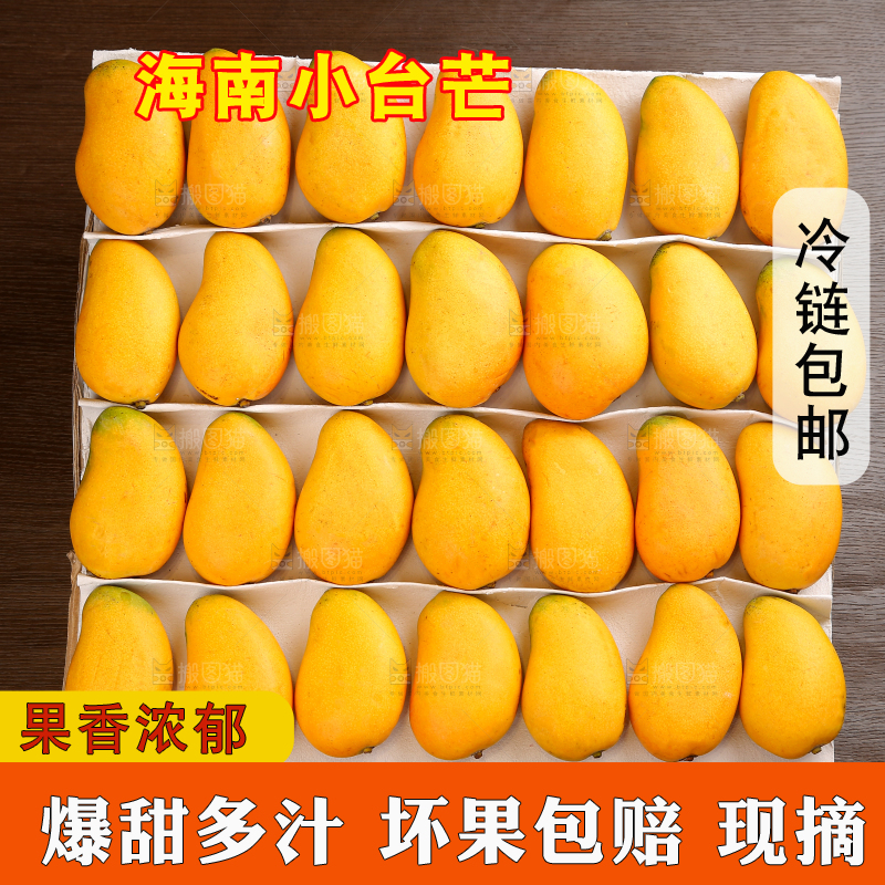小台芒