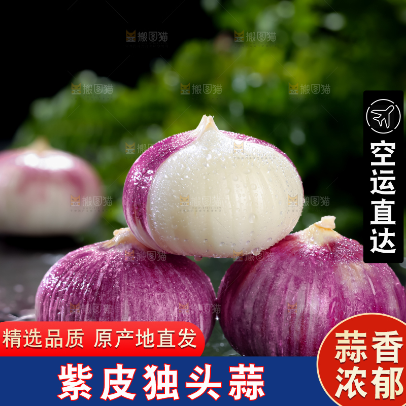 独头蒜