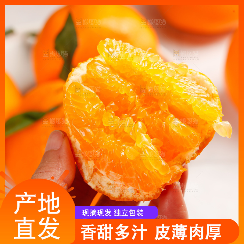 春见耙耙柑