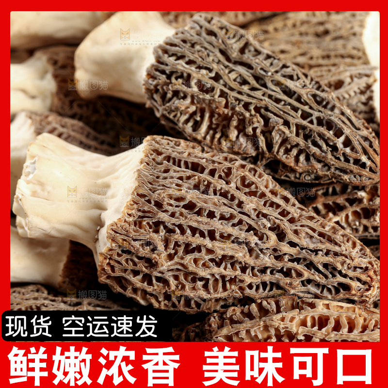 羊肚菌