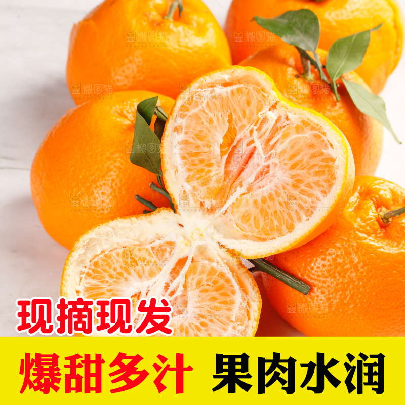 春见耙耙柑