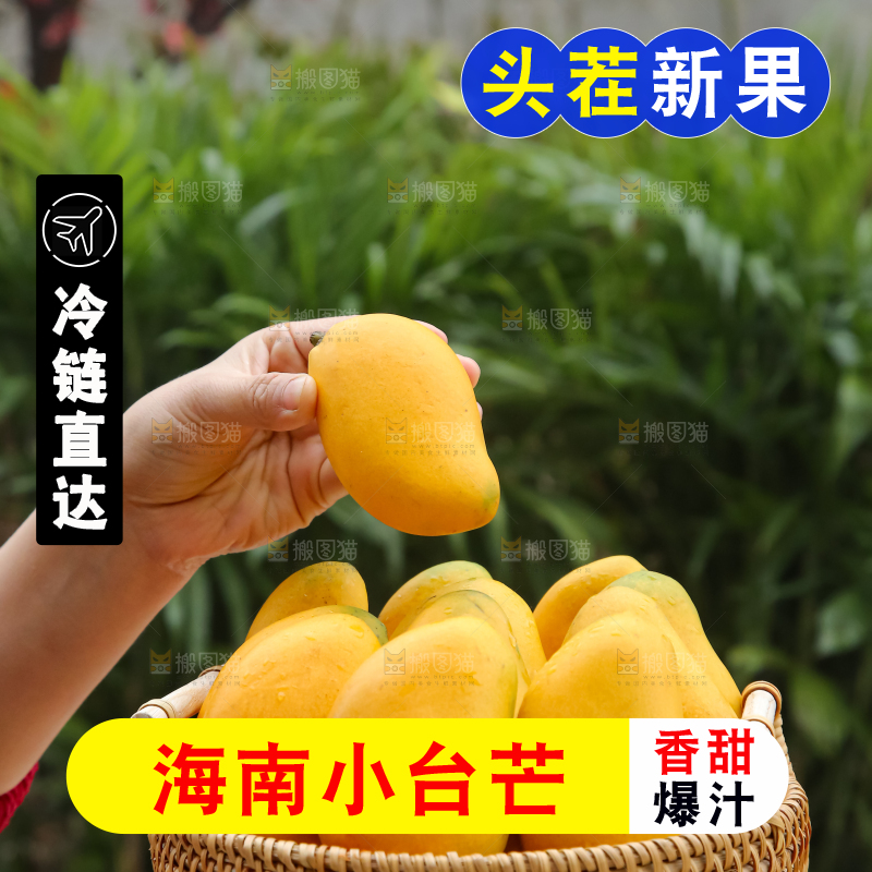 小台芒