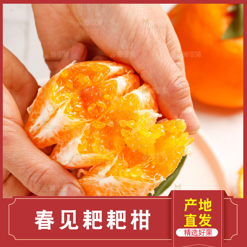 春见耙耙柑