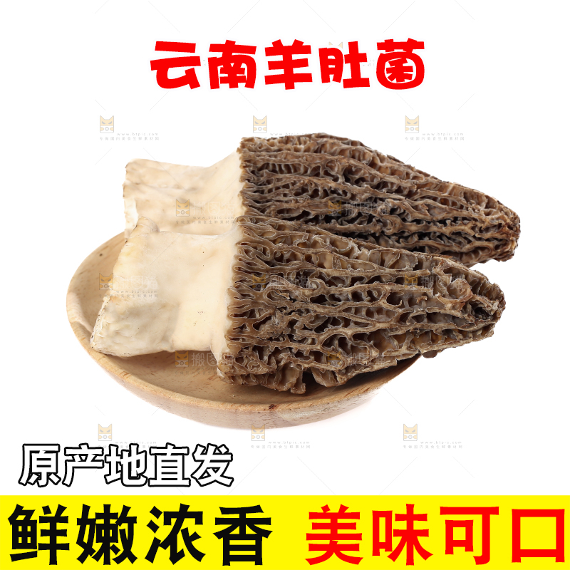 羊肚菌