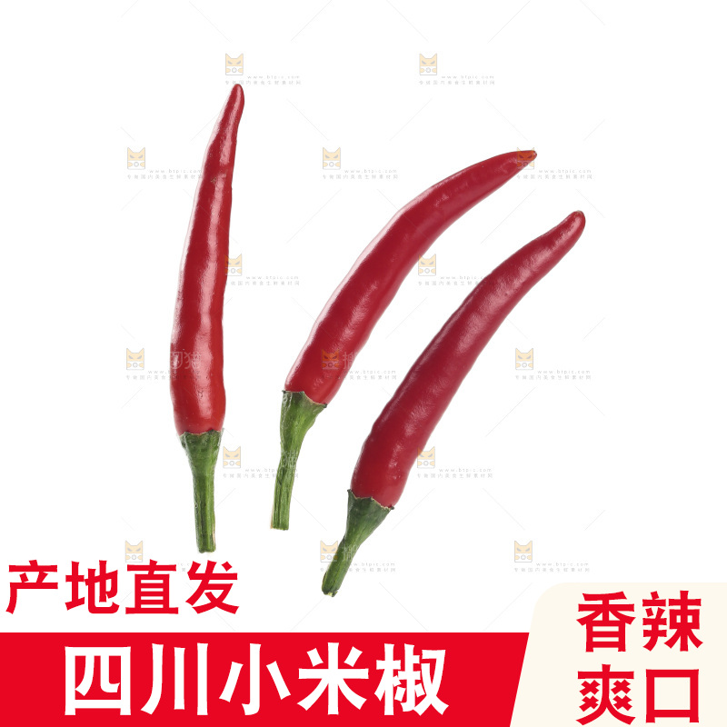 小米辣