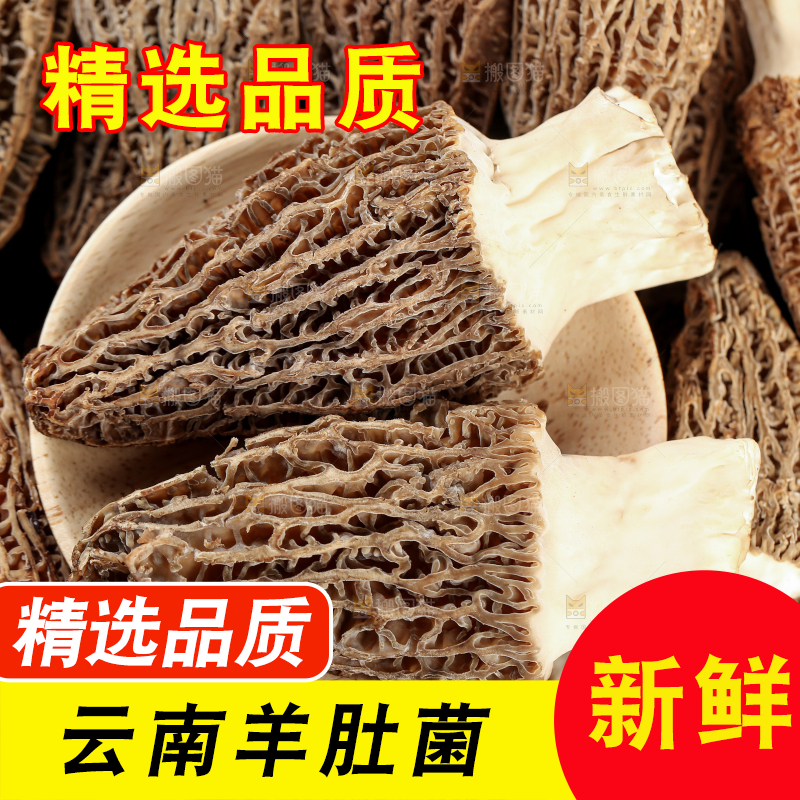 羊肚菌