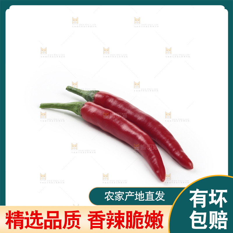 小米辣
