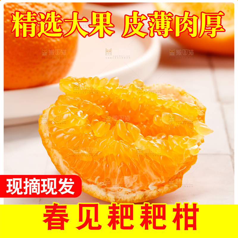 春见耙耙柑