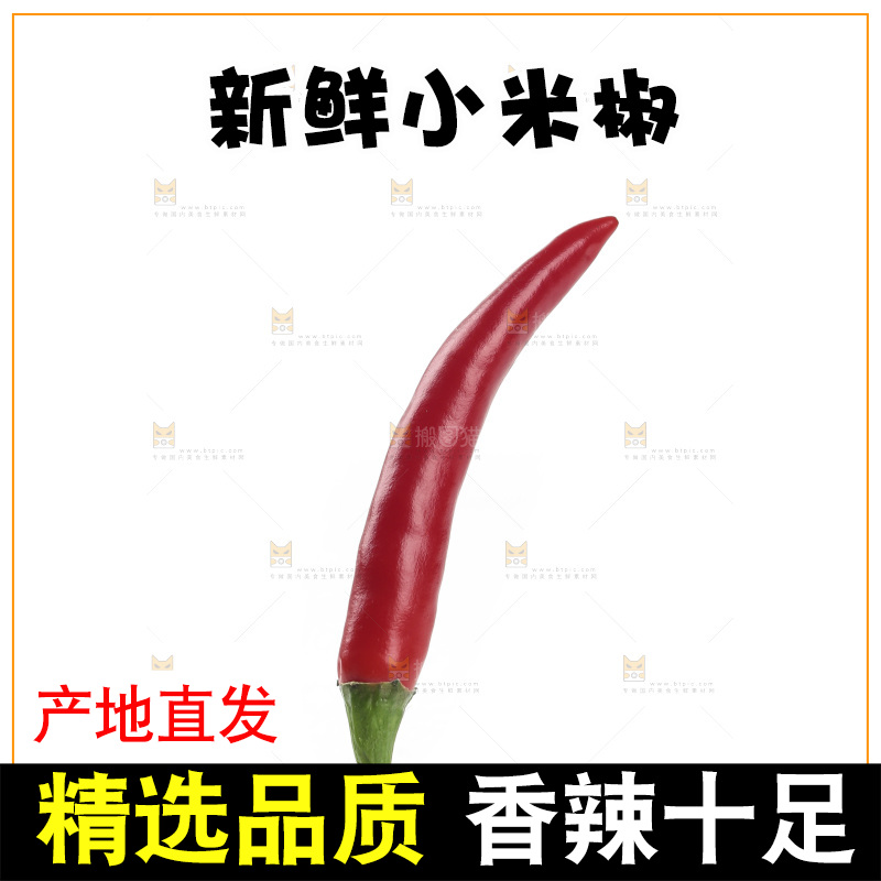 小米辣