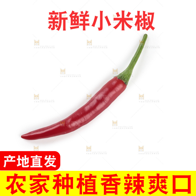 小米辣