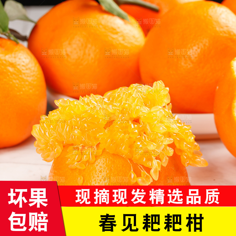 春见耙耙柑