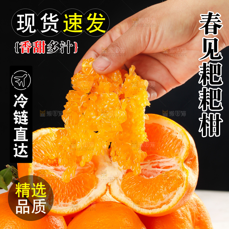 春见耙耙柑
