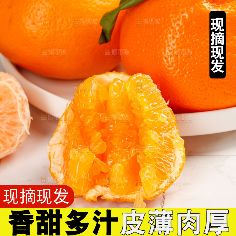 春见耙耙柑