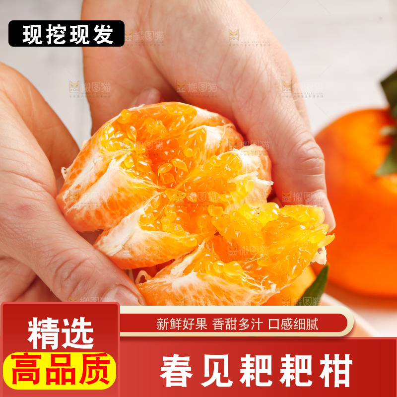 春见耙耙柑