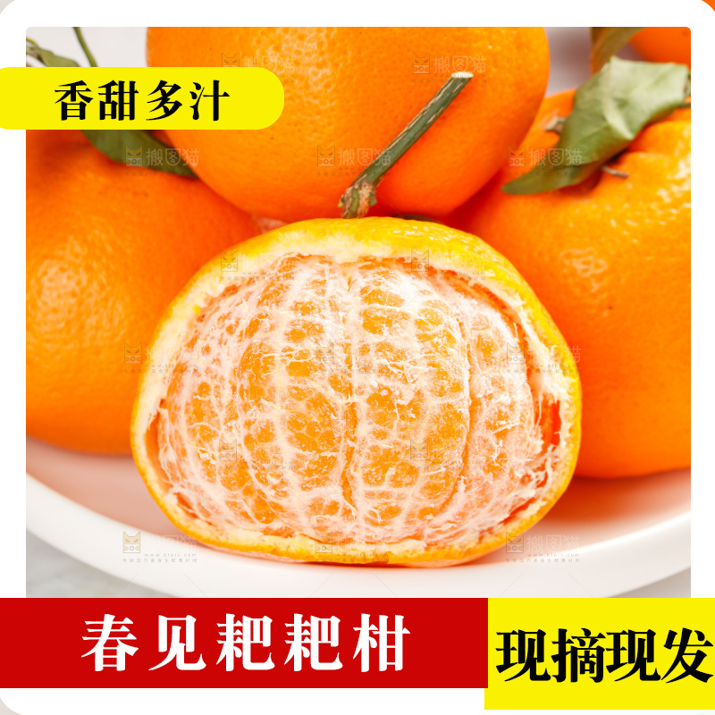 春见耙耙柑
