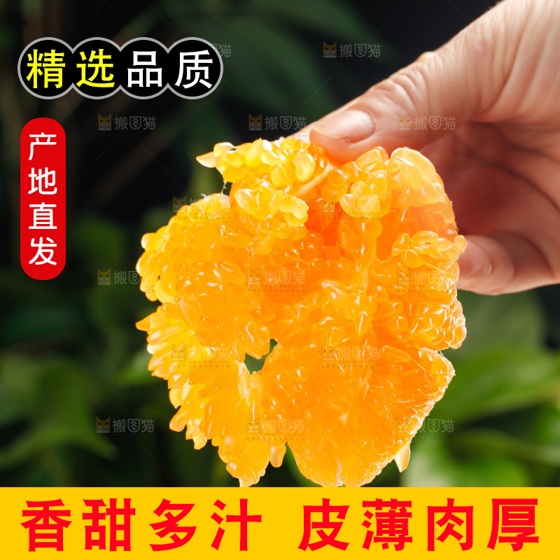 春见耙耙柑