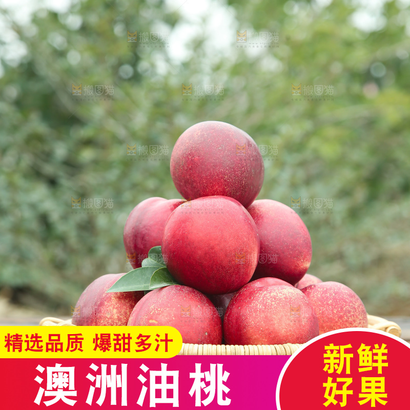澳洲油桃
