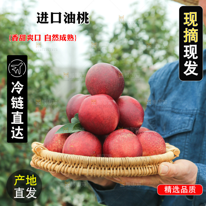 澳洲油桃