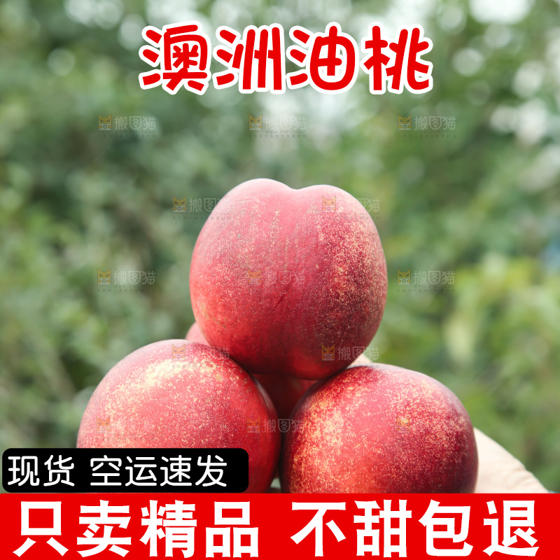 澳洲油桃