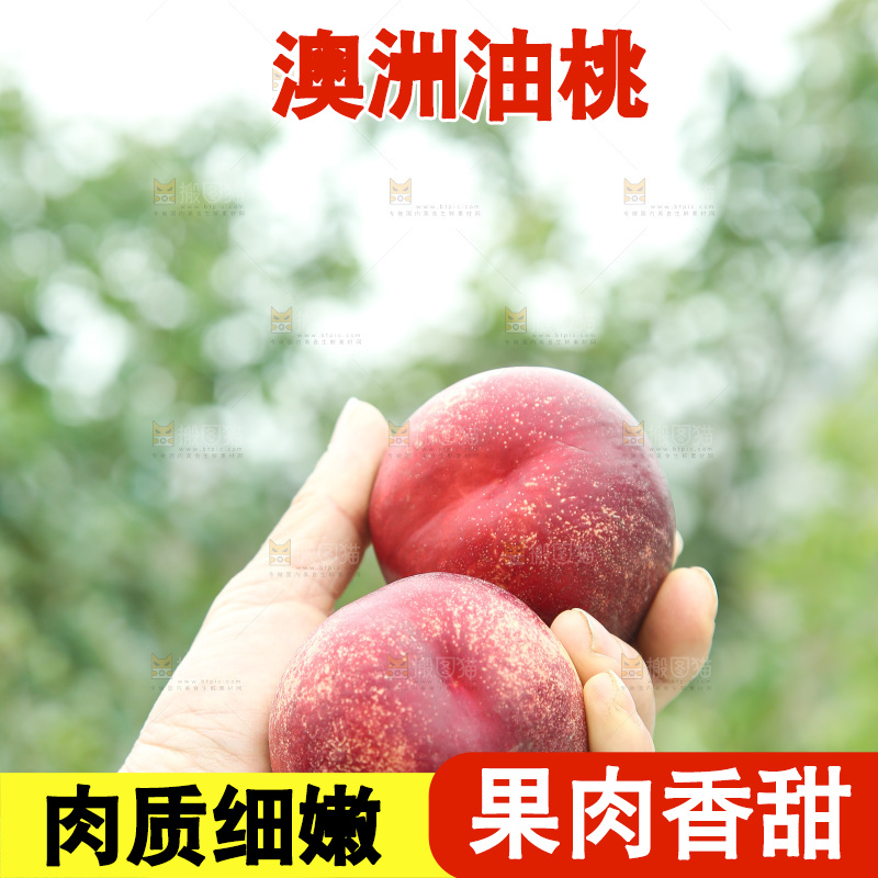 澳洲油桃