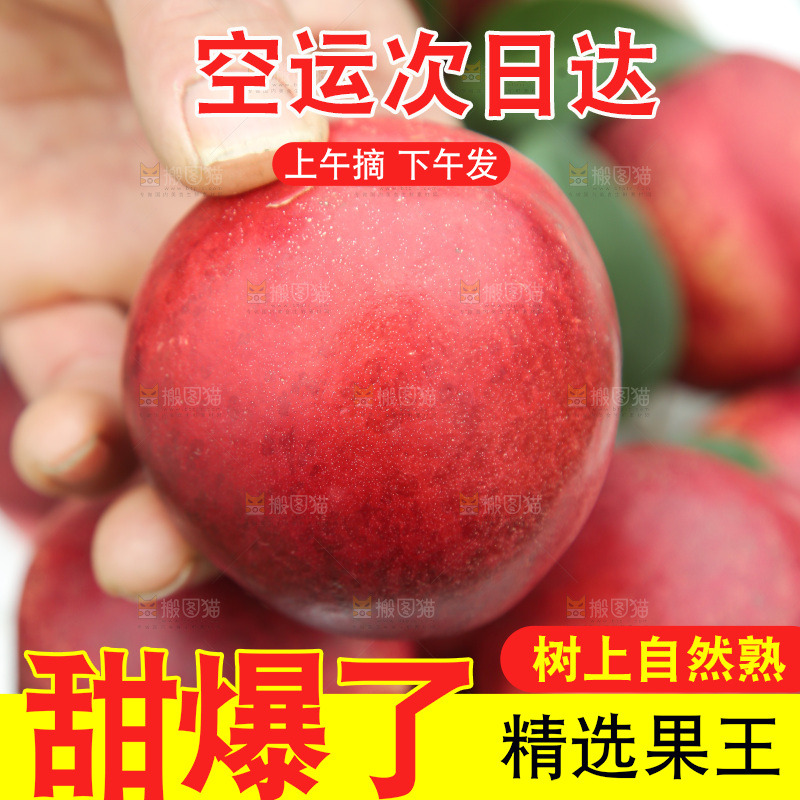 澳洲油桃