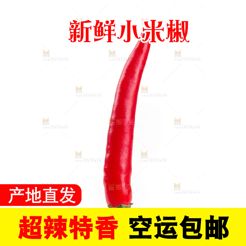 小米辣