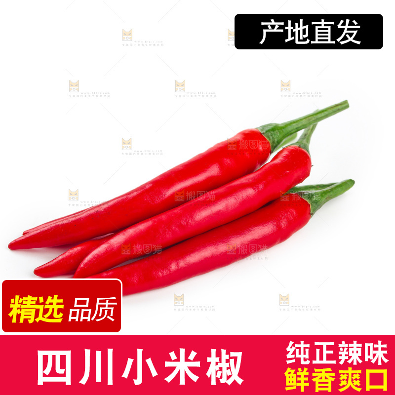 小米辣