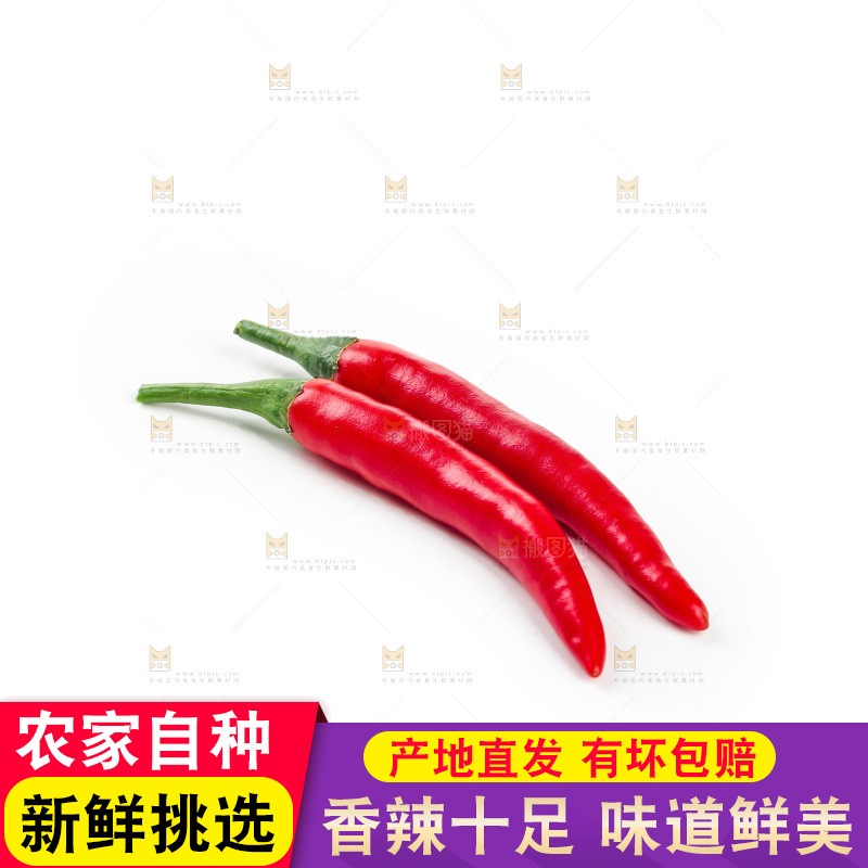 小米辣