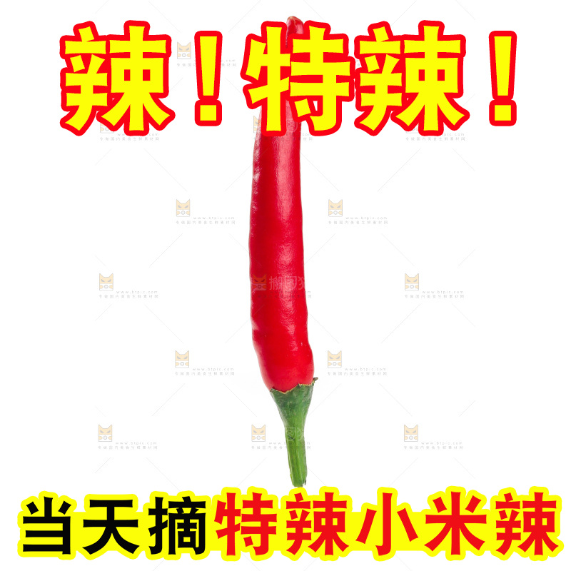 小米辣