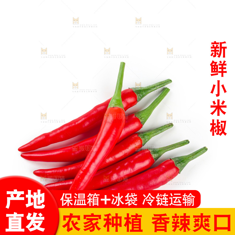 小米辣