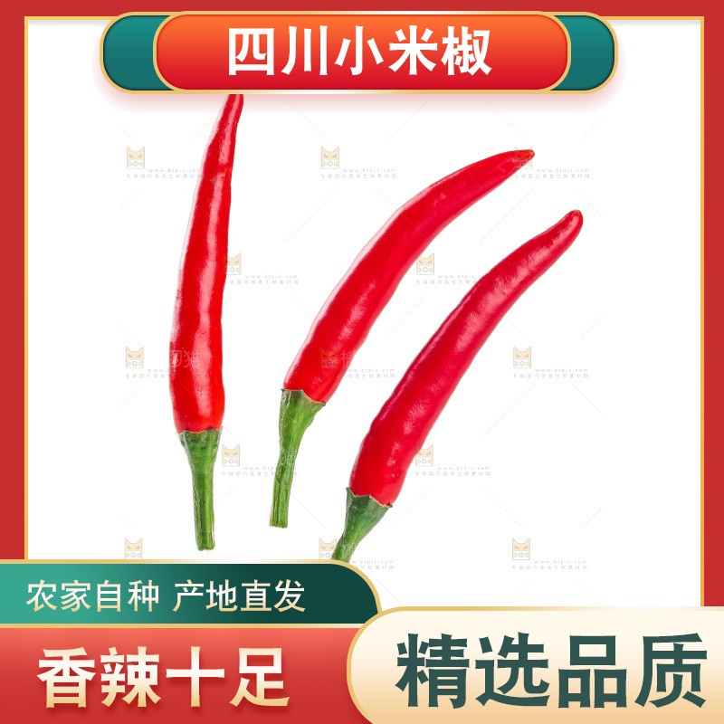 小米辣