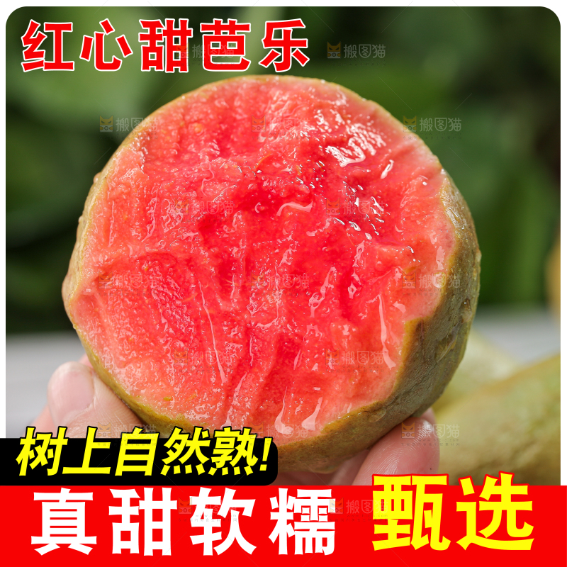 红心芭乐主图