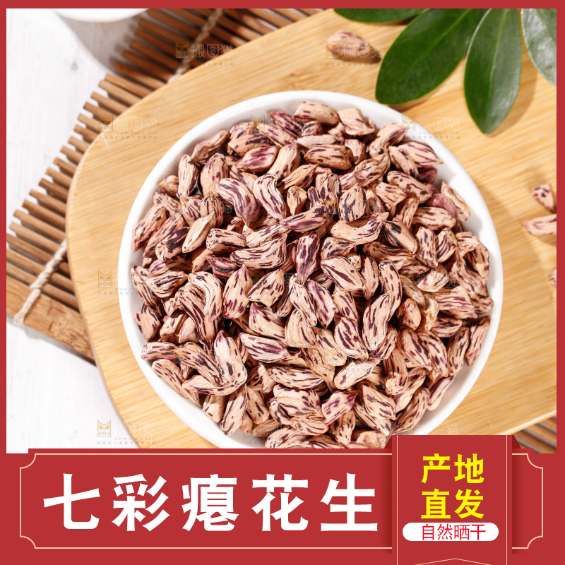 七彩瘪花生