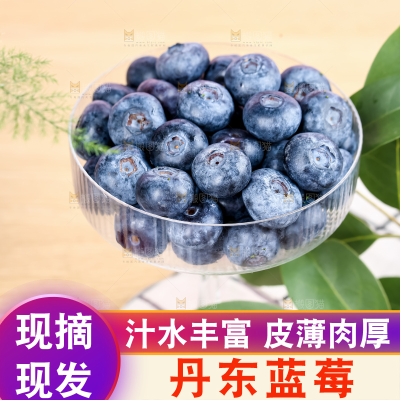 蓝莓
