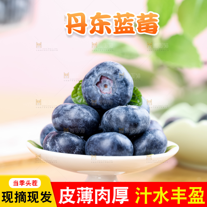 蓝莓