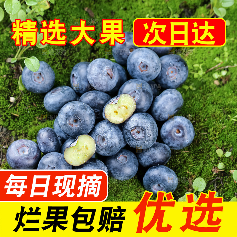蓝莓