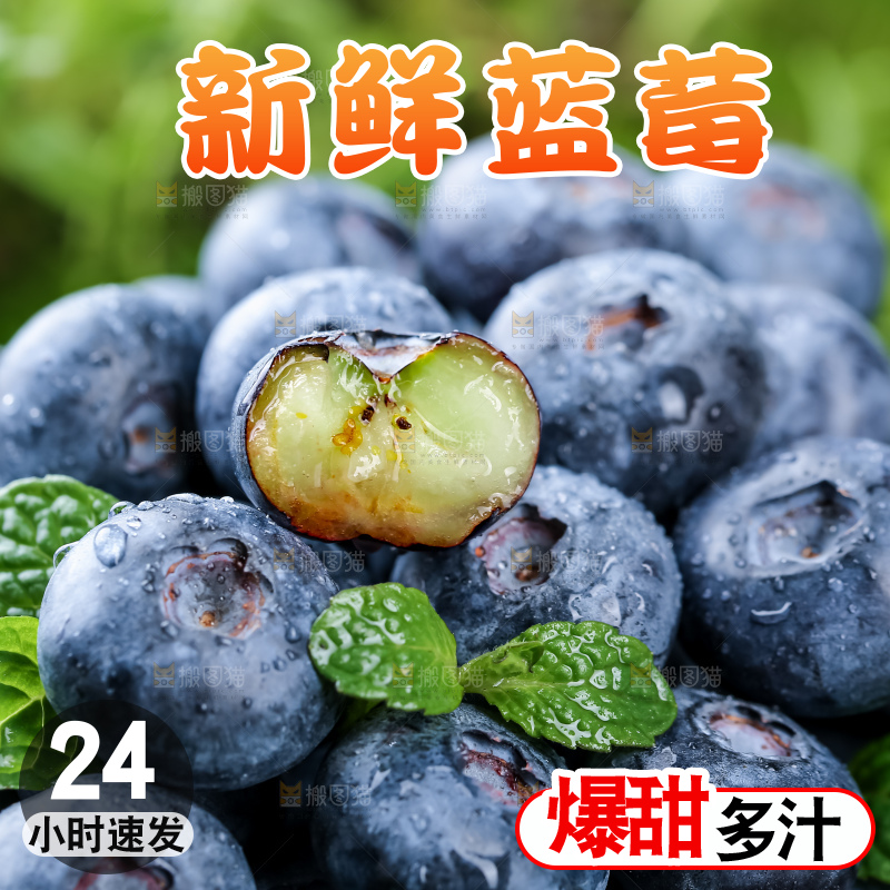 蓝莓