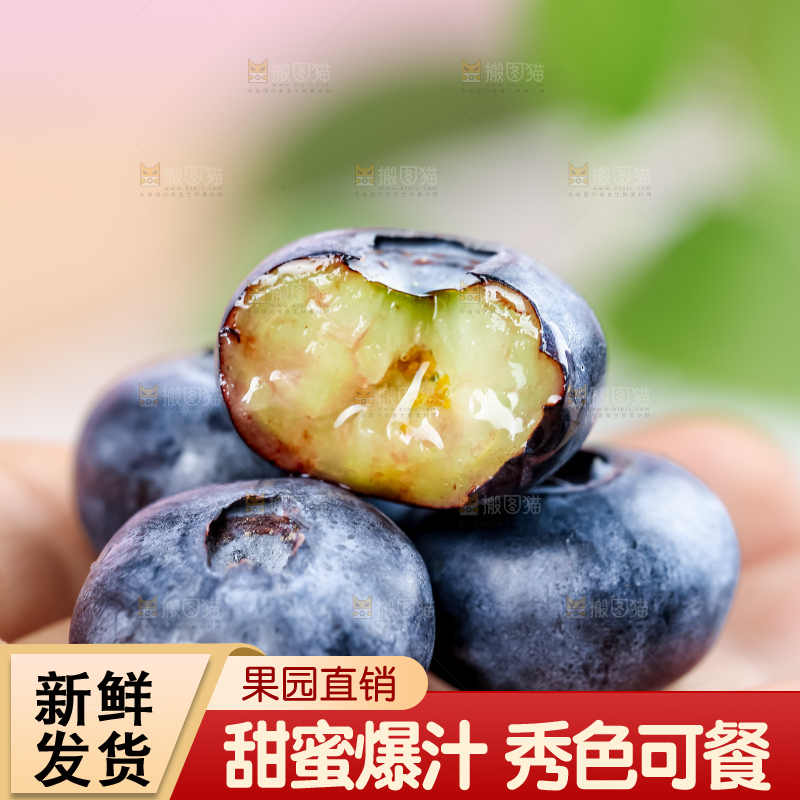 蓝莓