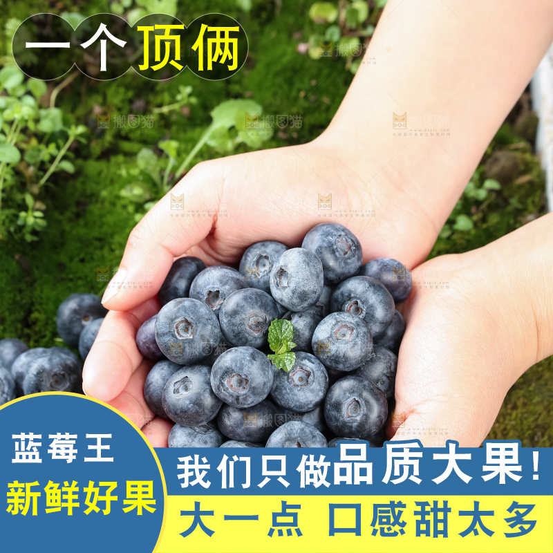 蓝莓