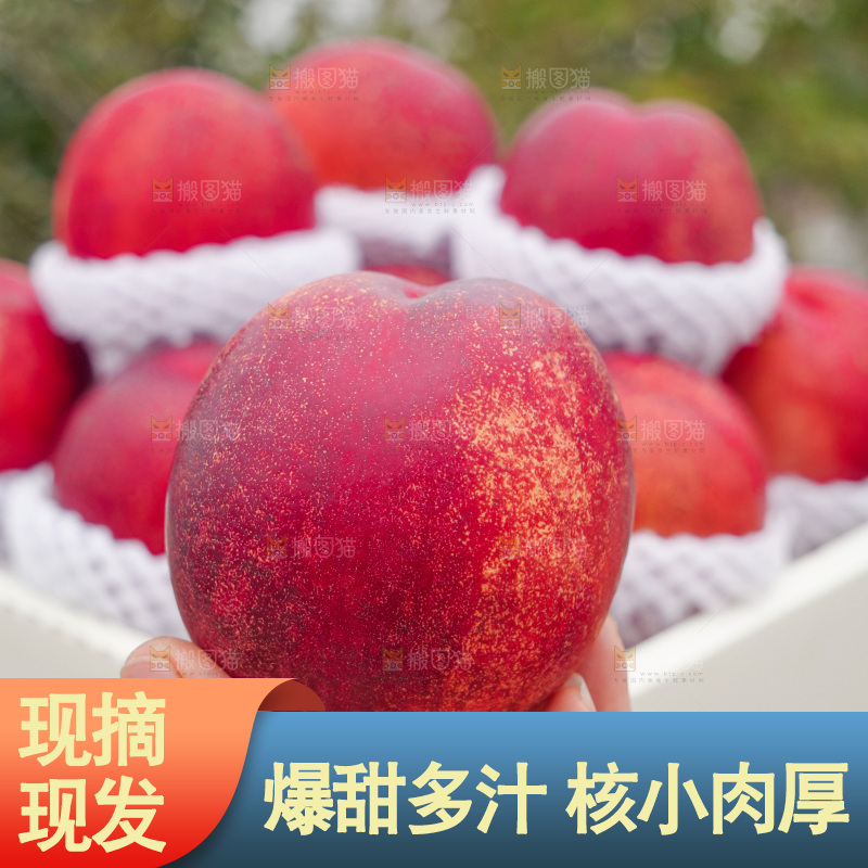 澳洲油桃