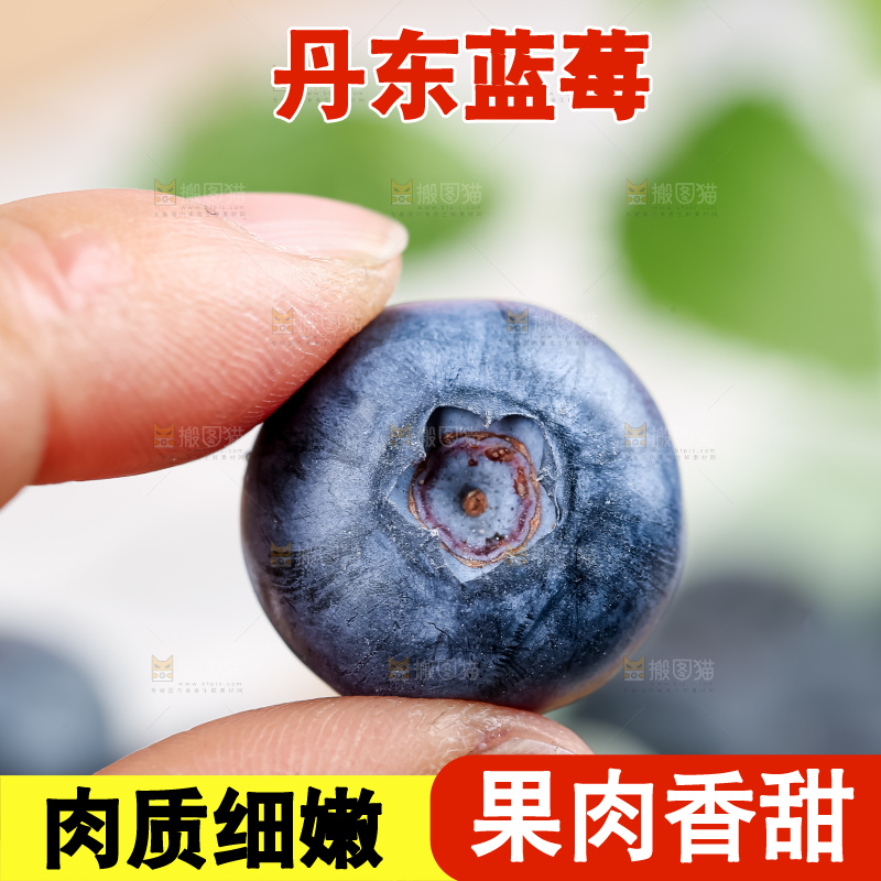 蓝莓