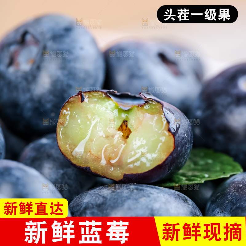 蓝莓